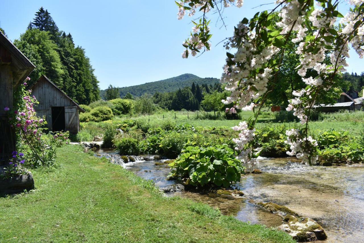 Plitvice Panta Rei Casa de hóspedes Plitvička Jezera Exterior foto