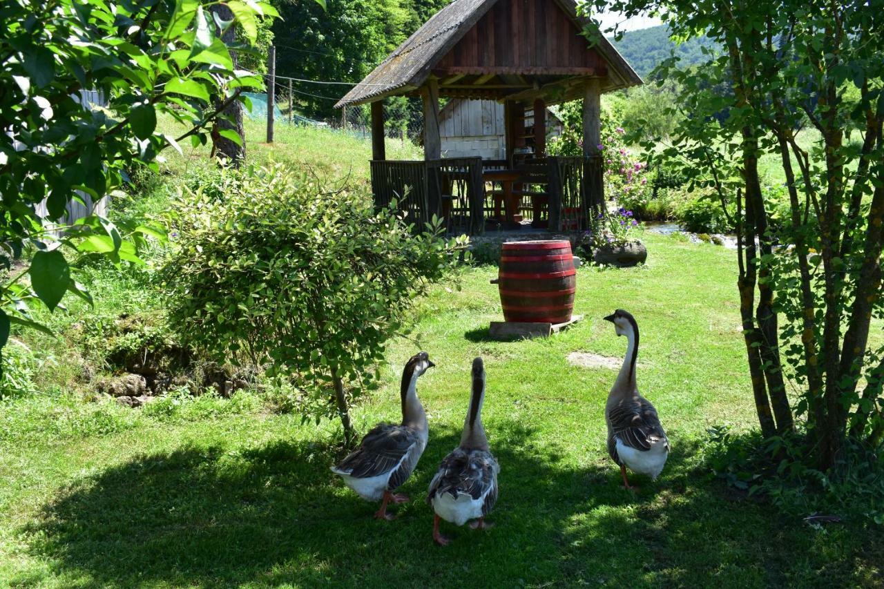 Plitvice Panta Rei Casa de hóspedes Plitvička Jezera Exterior foto